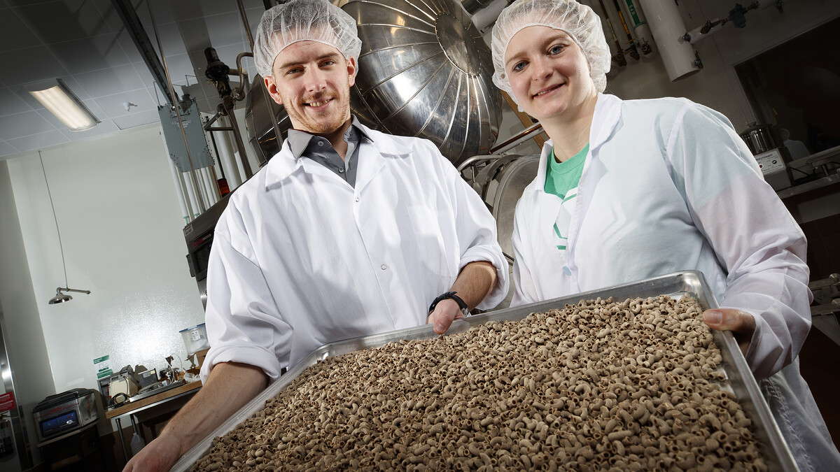 Bugeater Foods
