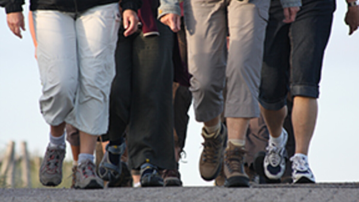 OLLI Walking SIG